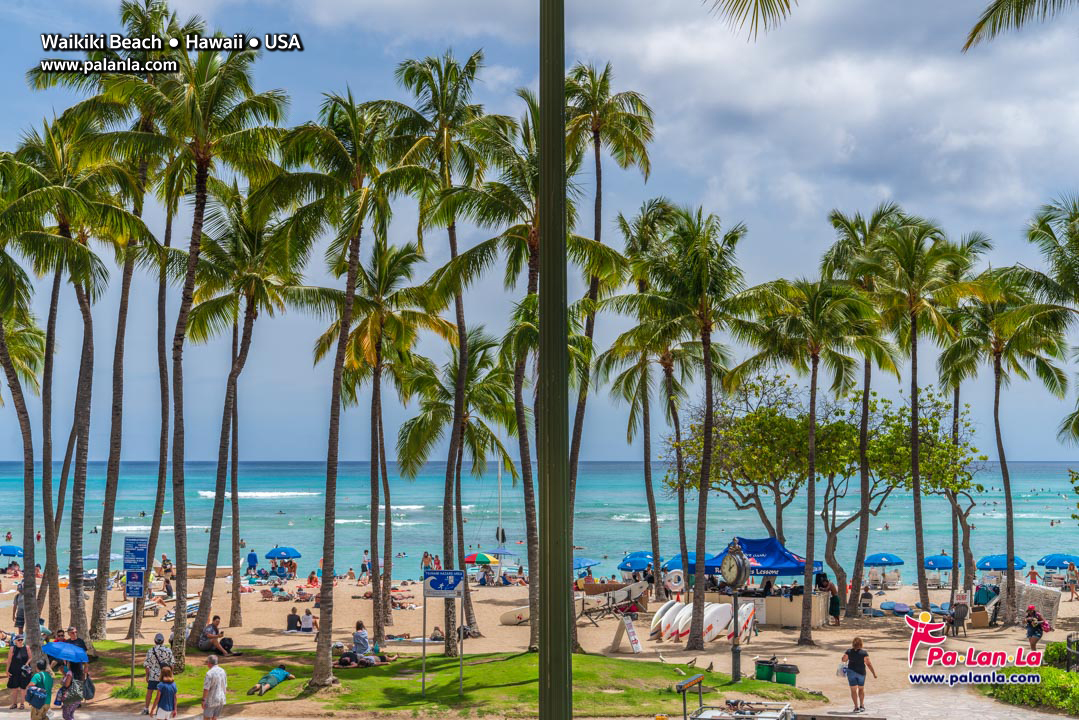 Waikiki Beach